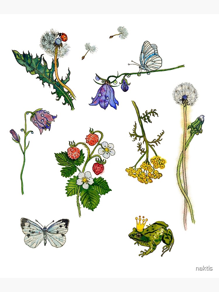 Summer fairy tale. by naktis