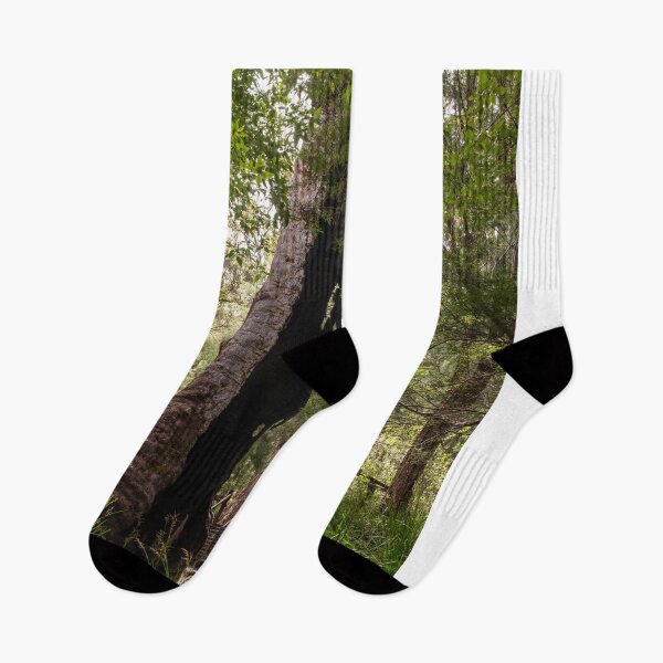 Item preview, Red Tingle tree endemic to South West of Western Australia designed and sold by Images by Chris de Blank.