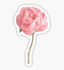 Pink Peonie Sticker