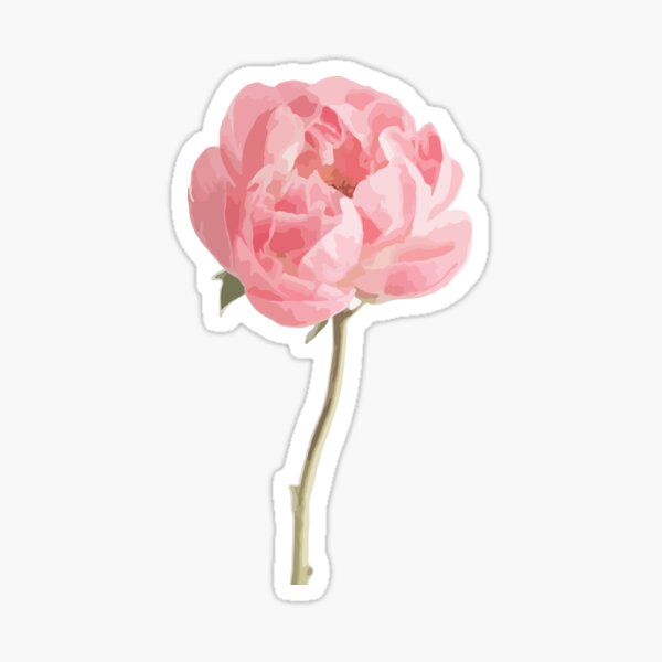 Artikel-Vorschau von Rosa Peonie, designt und verkauft von alexandragroh.