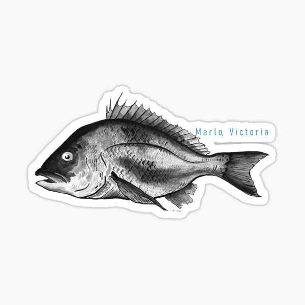 Bream fans, we have just added the Bream Decals to our large range