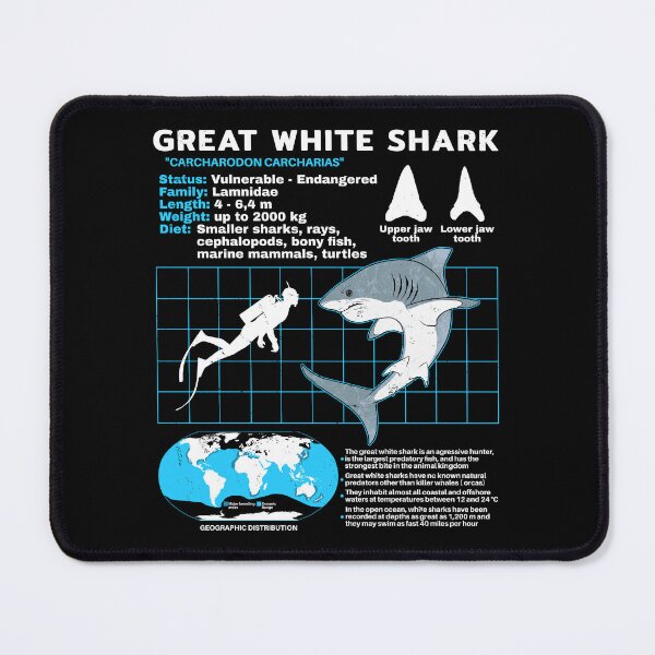 Item preview, Great white shark data sheet designed and sold by NicGrayGraphic.