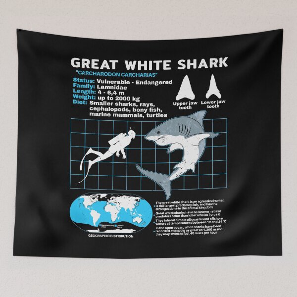 Item preview, Great white shark data sheet designed and sold by NicGrayGraphic.