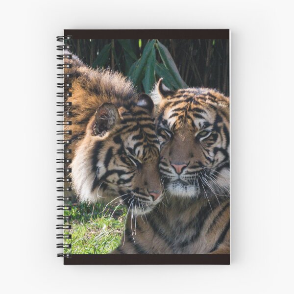 Item preview, Tiger's - More like Kittens designed and sold by John Stoves.