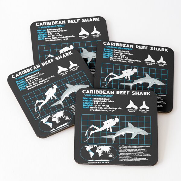 Item preview, Caribbean Reef Shark Fact Sheet designed and sold by NicGrayGraphic.
