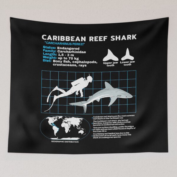 Item preview, Caribbean Reef Shark Fact Sheet designed and sold by NicGrayGraphic.