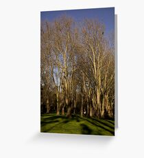 Fitzroy gardens Greeting Card