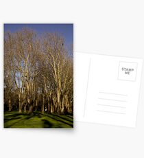 Fitzroy gardens Postcards