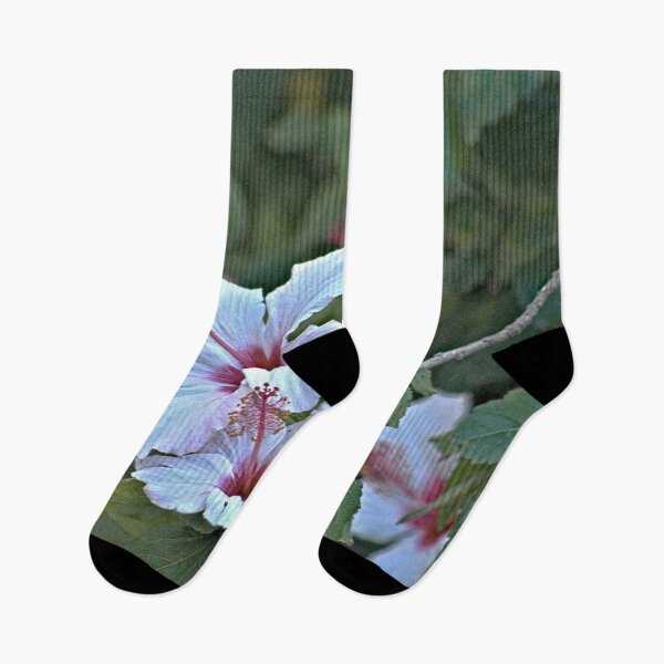Item preview, Flowering Hibiscus Tree Spring designed and sold by worldways.