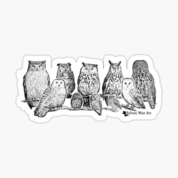 Owls - Ink Drawing Sticker