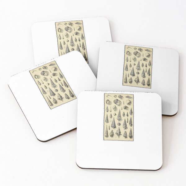 Item preview, Collect Soak Scrub Buff Repeat Shelling Sea Shell Collector designed and sold by Tomsens.