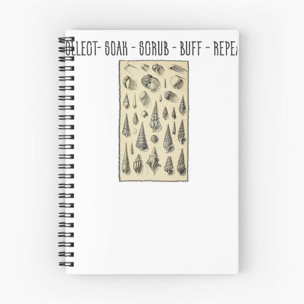 Item preview, Collect Soak Scrub Buff Repeat Shelling Sea Shell Collector designed and sold by Tomsens.