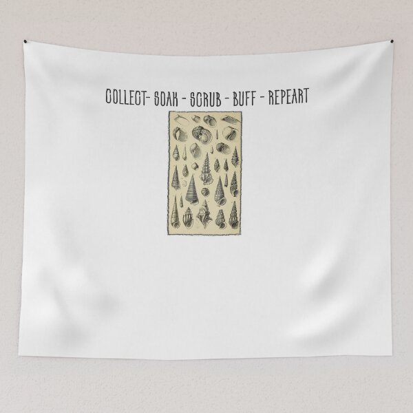 Item preview, Collect Soak Scrub Buff Repeat Shelling Sea Shell Collector designed and sold by Tomsens.