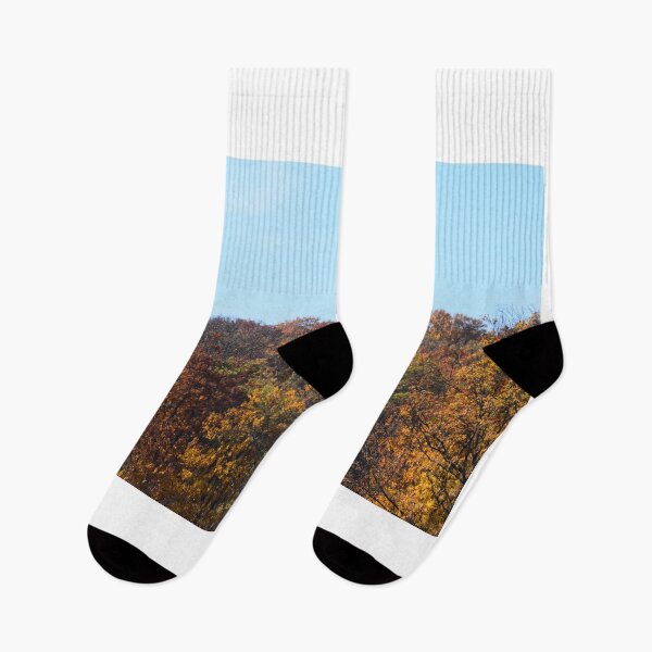 Item preview, Autumn in Burgenland designed and sold by Roland69.
