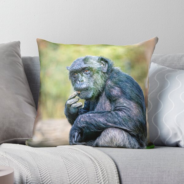 Gorilla Artwork - Animal Art Monkey Zoo Gorilla Throw Pillow