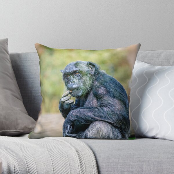 Gorilla Throw Pillows, Cases