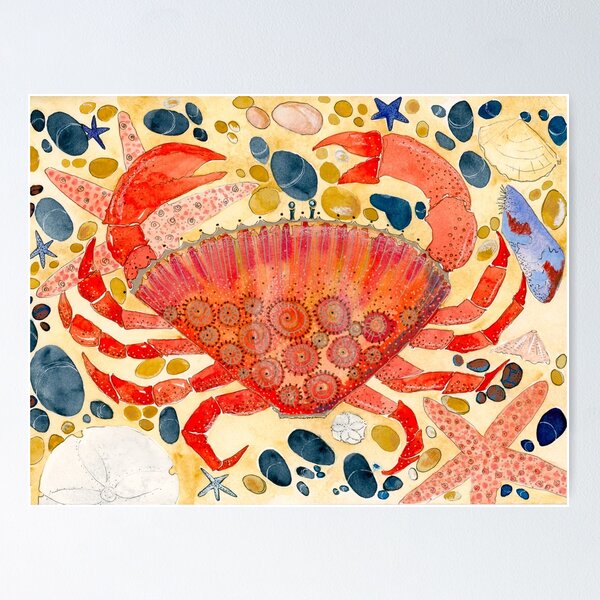 Fan Crab Poster