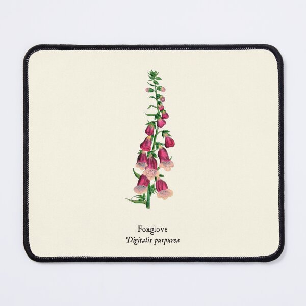 Item preview,  Digitalis Purpurea - Vintage Foxgloves Print, Antique Botanical Illustration, Witches Herbs designed and sold by Larkwort.