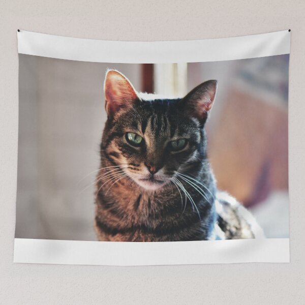 Item preview, Just call me Professor designed and sold by Nerone.