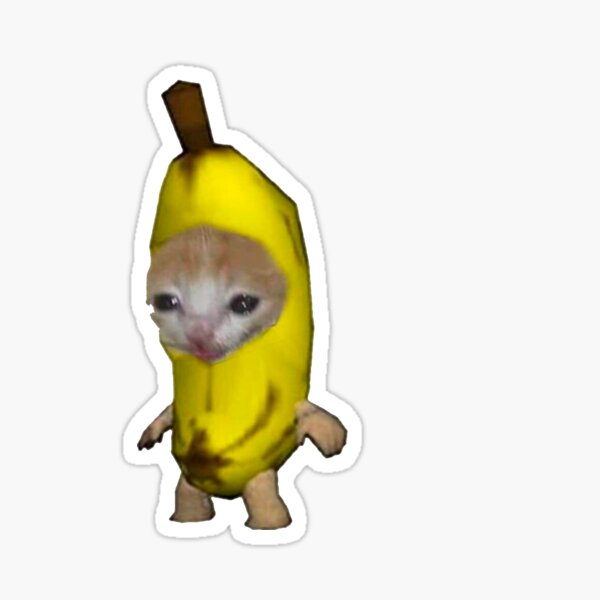 Angry cat no banana meme calico kitty hate yellow fruit - Angry