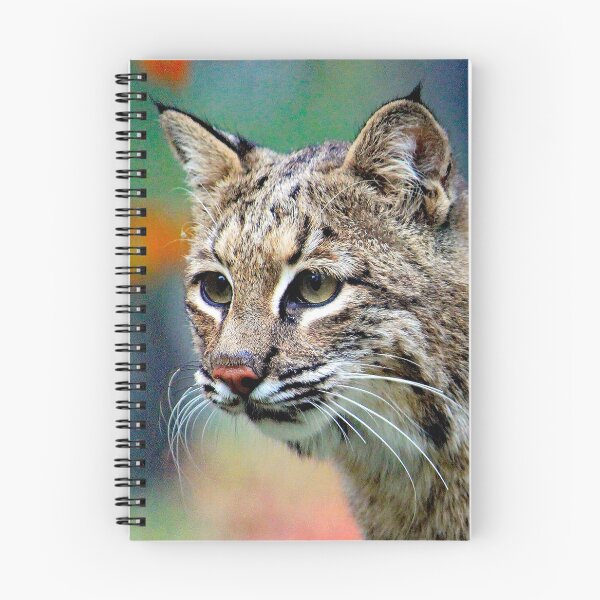 Item preview, Bobcat designed and sold by Strawflower Oasis.