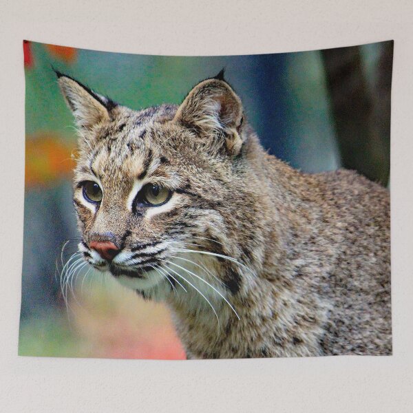 Item preview, Bobcat designed and sold by Strawflower Oasis.