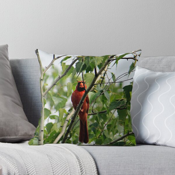 Item preview, Cardinal 6800 designed and sold by Strawflower Oasis.