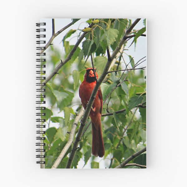 Item preview, Cardinal 6800 designed and sold by Strawflower Oasis.
