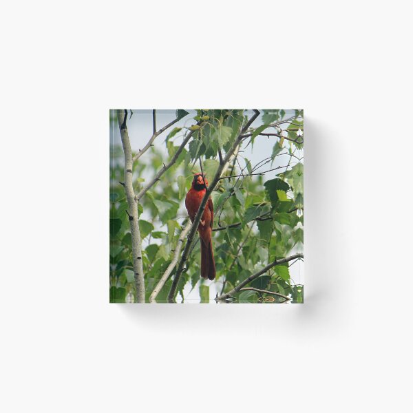 Item preview, Cardinal 6800 designed and sold by Strawflower Oasis.