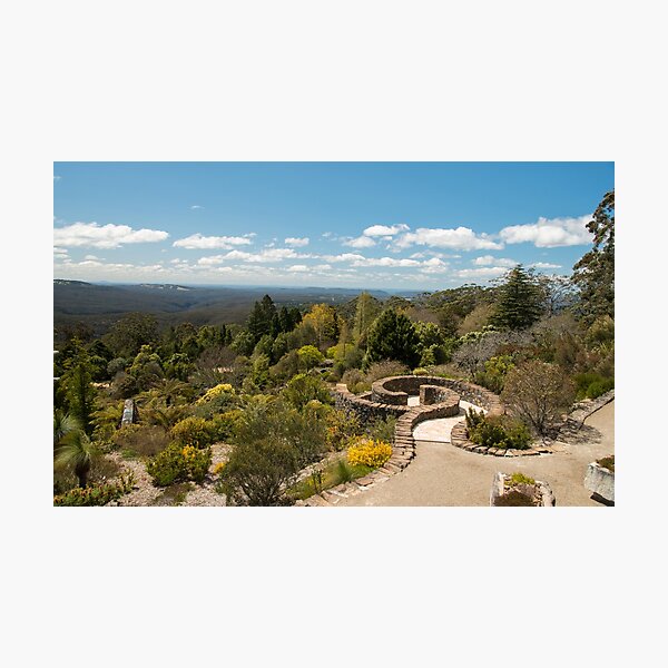 Item preview, Mt Tomah Gardens, New South Wales designed and sold by SusanAdey.