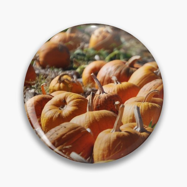 Item preview, Row of Pumpkins designed and sold by HeavenOnEarth.