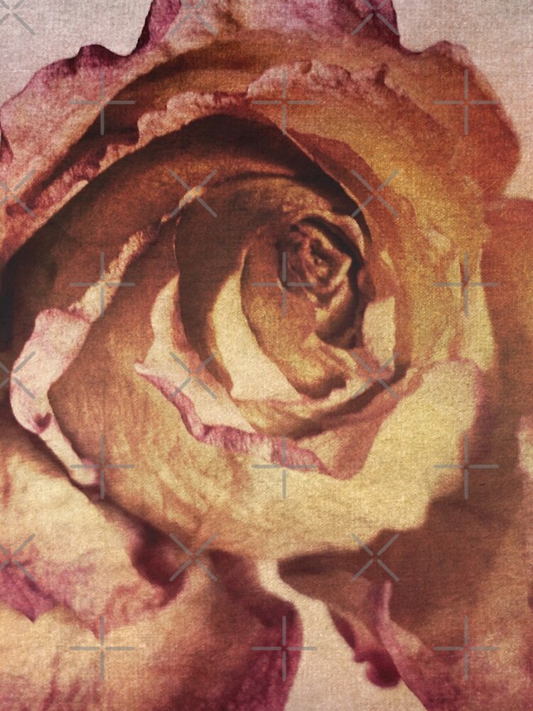 Rose in Time - Flower Lovers - Vintage Dusty Pink Rose Art by OneDayArt