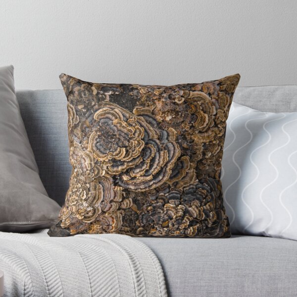 Autumn 2017 1-5 Throw Pillow