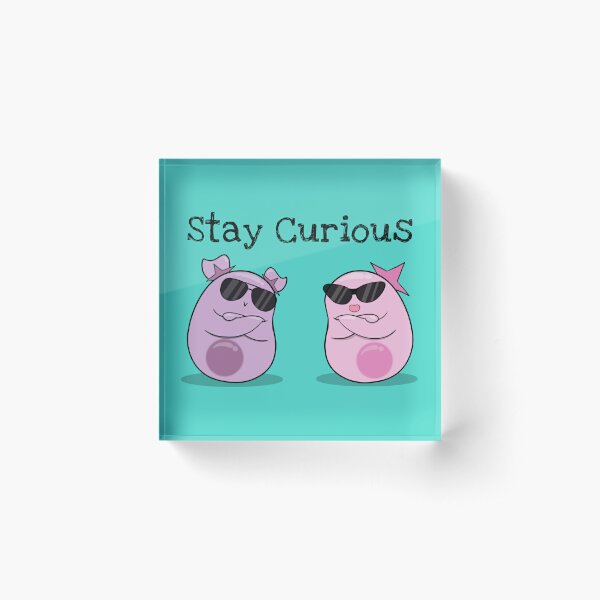 Stay Curious! with the Amoeba Sisters Acrylic Block