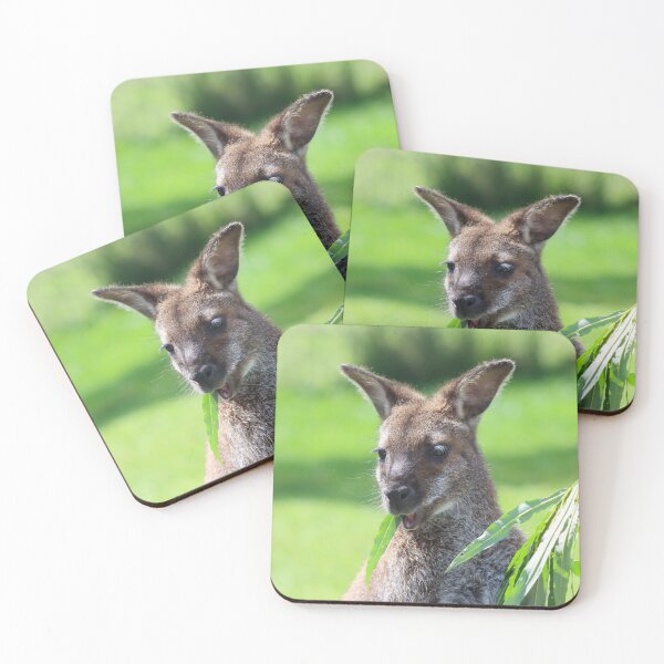Item preview, Feeding wallaby designed and sold by GreyFeatherPhot.