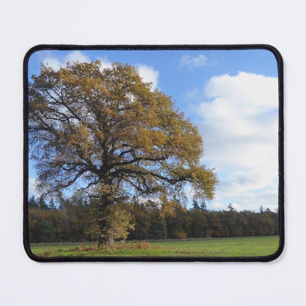 Item preview, An old autumn tree designed and sold by jchanders.