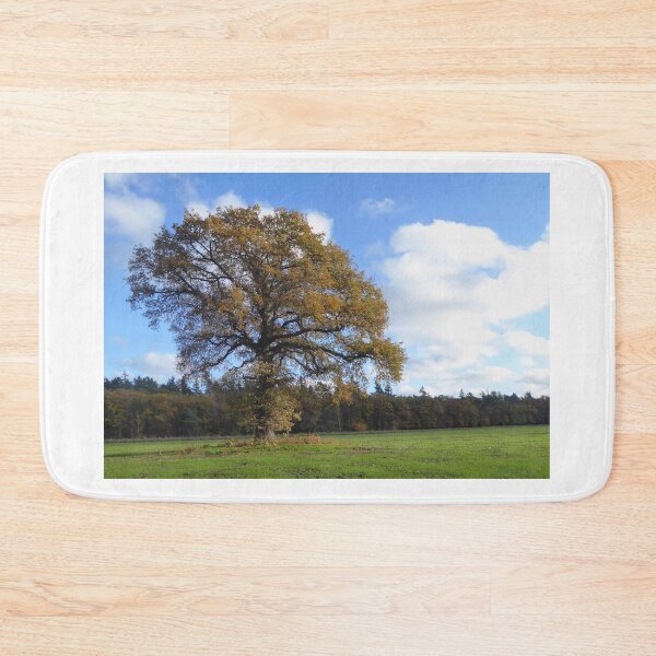 Item preview, An old autumn tree designed and sold by jchanders.