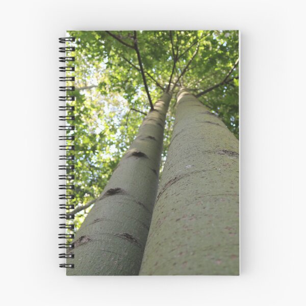 Item preview, Sunlit Trees designed and sold by Meg Humphreys.