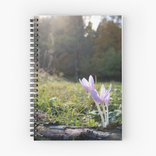 Item preview, Colchicum autumnale, autumn crocus, meadow saffron designed and sold by Olimpia Negura.