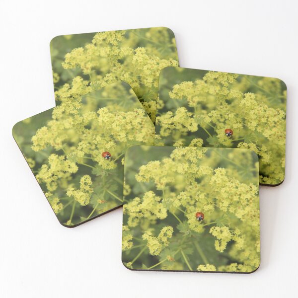 Item preview, A close-up of a ladybug in the yellow-ish green grass designed and sold by Dankeshon.