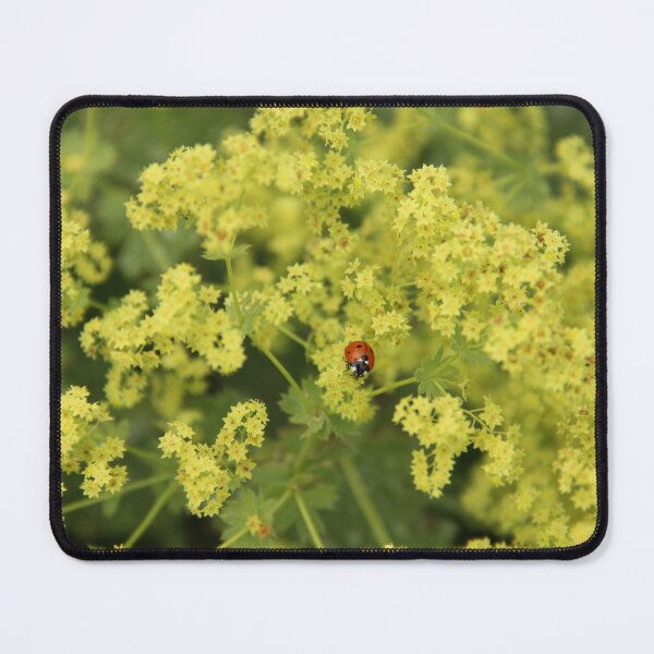 Item preview, A close-up of a ladybug in the yellow-ish green grass designed and sold by Dankeshon.