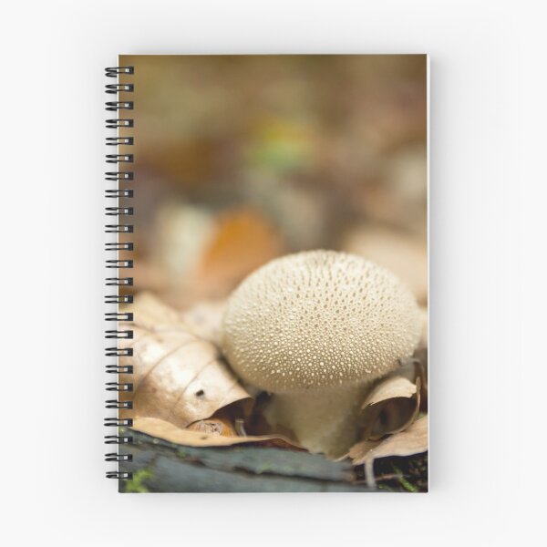 Item preview, Lycoperdon perlatum, common puffball, warted puffball, gem-studded puffball, or the devil's snuff-box designed and sold by Olimpia Negura.