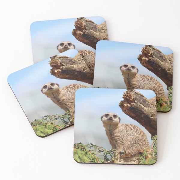 Item preview, Meerkat on lookout designed and sold by GreyFeatherPhot.