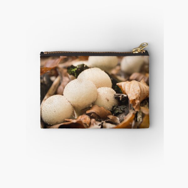Item preview, Lycoperdon perlatum, common puffball, warted puffball, gem-studded puffball, or the devil's snuff-box designed and sold by Olimpia Negura.