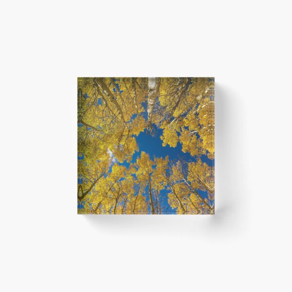 Item preview, Sky Aspen Horizontal designed and sold by Gregg Lowrimore.