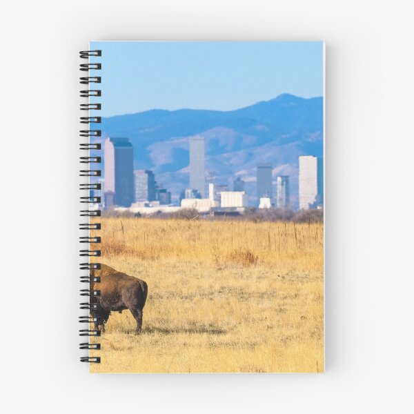 Item preview, Iconic Denver Image designed and sold by Gregg Lowrimore.