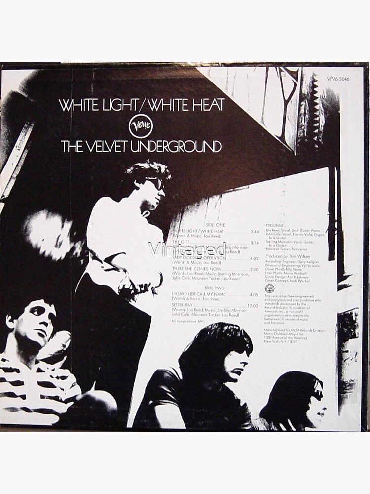 Velvet Underground, White Light, White Heat, back cover Art Board Print  for Sale by Vintaged