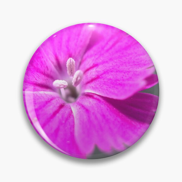 Item preview, Dianthus designed and sold by Jason Tompkins.