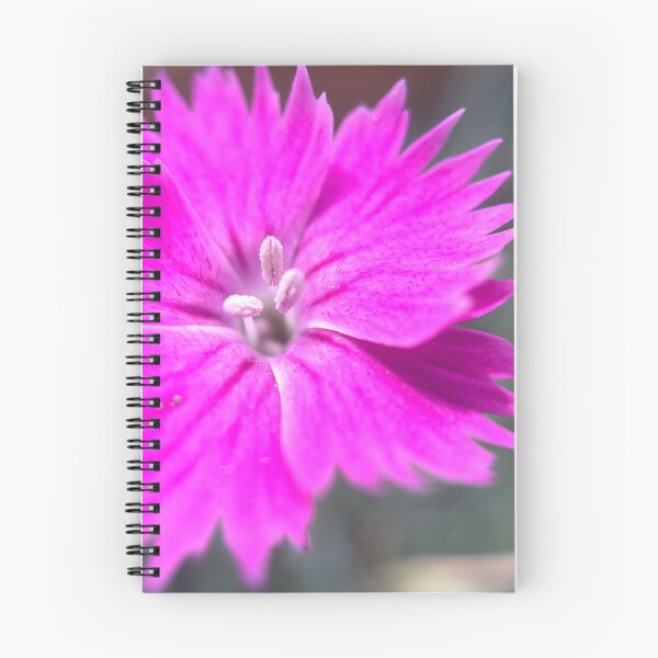 Item preview, Dianthus designed and sold by Jason Tompkins.