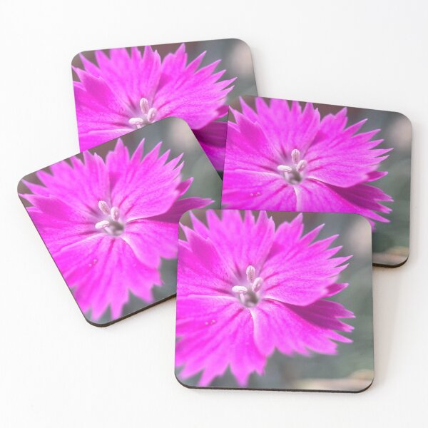 Item preview, Dianthus designed and sold by Jason Tompkins.
